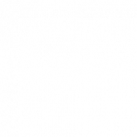 The Stonehenge Tour